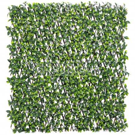 EdenGreen Vertical Green Wall EGA066 100*200cm