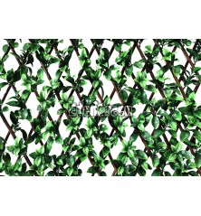 EdenGreen Vertical Green Wall EGA066 100*200cm