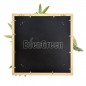RheaB Wooden Frame EGK004BV004 50*50cm EdenGreen Vertical Green Wall Artificial Hedge Tile RheaB Wooden Frame EGK004BV004 50*50cm EdenGreen Vertical Green Wall Artificial Hedge Tile