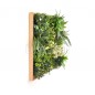 EdenGreen Vertical Green Wall EGK004BV004 50*50cm