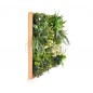 RheaB Wooden Frame EGK004BV004 50*50cm EdenGreen Vertical Green Wall Artificial Hedge Tile RheaB Wooden Frame EGK004BV004 50*50cm EdenGreen Vertical Green Wall Artificial Hedge Tile