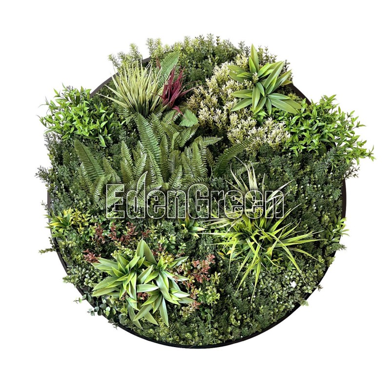 GaeaC EGK003CV031 100cm Disc EdenGreen Vertical Green Wall Panel Disc Garden Flower Art GaeaC EGK003CV031 100cm Disc EdenGreen Vertical Green Wall Panel Disc Garden Flower Art