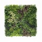Hera-A EGK001A 100*100cm EdenGreen Vertical Green Wall Artificial Hedge Tile Hera-A EGK001A 100*100cm EdenGreen Vertical Green Wall Artificial Hedge Tile