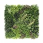 Hera-B EGK001B 100*100cm EdenGreen Vertical Green Wall Artificial Hedge Tile Hera-B EGK001B 100*100cm EdenGreen Vertical Green Wall Artificial Hedge Tile