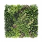 Hera-B EGK001B 100*100cm EdenGreen Vertical Green Wall