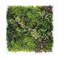 Hera-C EGK001C 100*100cm EdenGreen Vertical Green Wall Artificial Hedge Tile Hera-C EGK001C 100*100cm EdenGreen Vertical Green Wall Artificial Hedge Tile