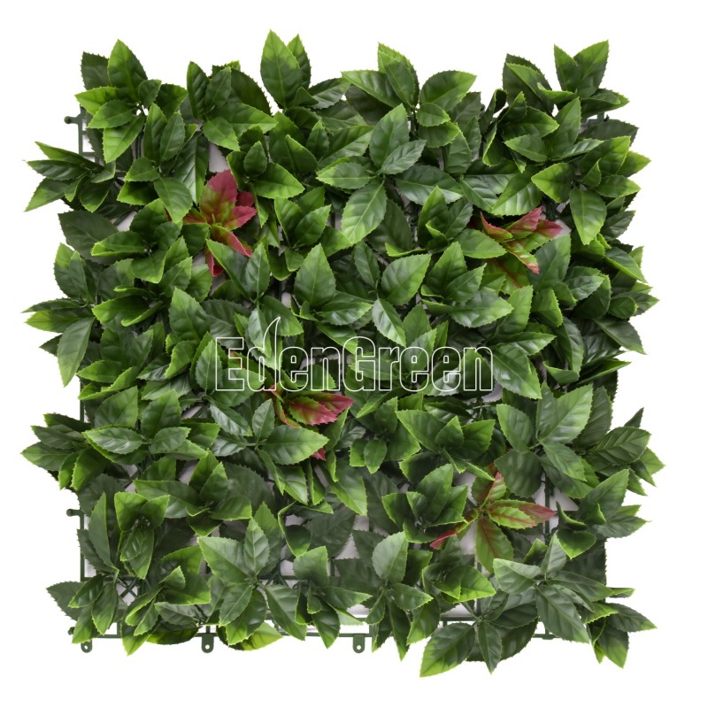 Photinia EGA008 50*50cm EdenGreen Vertical Green Wall Artificial Hedge Tile Photinia EGA008 50*50cm EdenGreen Vertical Green Wall Artificial Hedge Tile