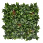 Photinia EGA008 50*50cm EdenGreen Vertical Green Wall Artificial Hedge Tile Photinia EGA008 50*50cm EdenGreen Vertical Green Wall Artificial Hedge Tile