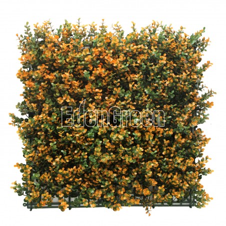Buxus EGA012 50*50cm EdenGreen Vertical Green Wall