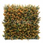 Buxus EGA012 50*50cm EdenGreen Vertical Green Wall Artificial Hedge Tile