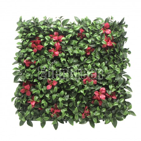 Gardenia Red EGA092 50*50cm EdenGreen Vertical Green Wall
