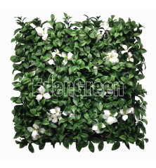 Gardenia White EGA091﻿ 50*50cm EdenGreen Vertical Green Wall
