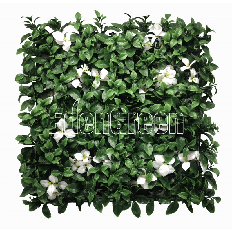 Gardenia White EGA091 50*50cm EdenGreen Vertical Green Wall Artificial Hedge Tile Gardenia White EGA091 50*50cm EdenGreen Vertical Green Wall Artificial Hedge Tile