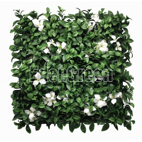Gardenia White EGA091﻿ 50*50cm EdenGreen Vertical Green Wall Artificial Hedge Tile