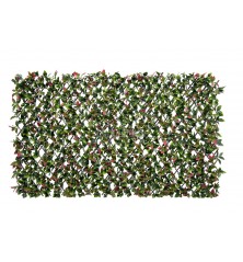 Photinia Willow Fence EGP012 100*200cm EdenGreen Vertical Green Wall