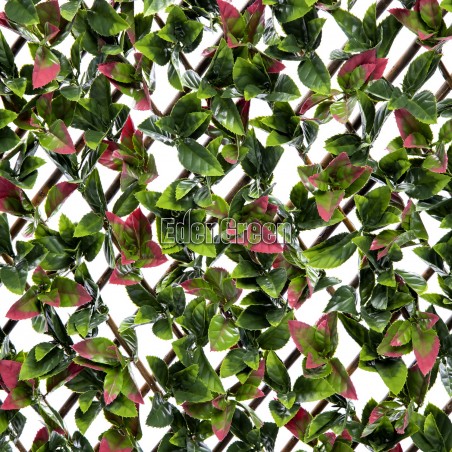 Photinia Willow Fence EGP012 100*200cm EdenGreen Vertical Green Wall