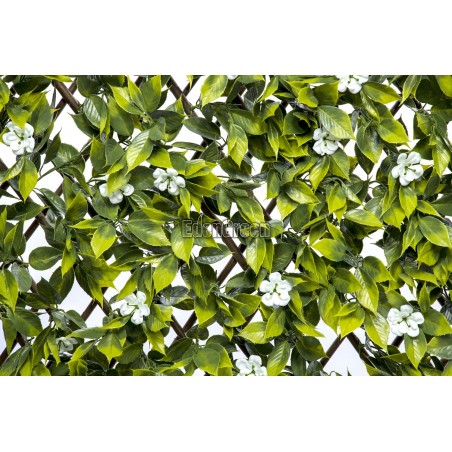 Sakura Willow Fence EGP024 100*200cm EdenGreen Vertical Green Wall