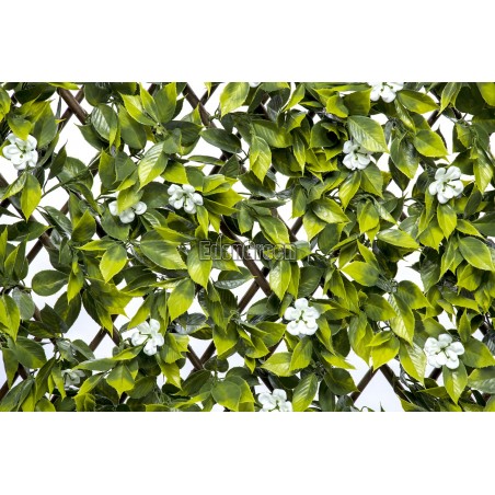 Sakura Willow Fence EGP024 100*200cm EdenGreen Expand Artificial Hedge Trellis