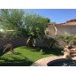 Artificial Lawn Emerald 35 Artificial Lawn Emerald 35