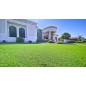 Artificial Lawn Emerald 35 Artificial Lawn Emerald 35