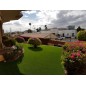 Artificial Lawn Deluxe 35 Artificial Lawn Deluxe 35