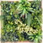 RheaB Wooden Frame EGK004BV004 50*50cm EdenGreen Vertical Green Wall Artificial Hedge Tile RheaB Wooden Frame EGK004BV004 50*50cm EdenGreen Vertical Green Wall Artificial Hedge Tile