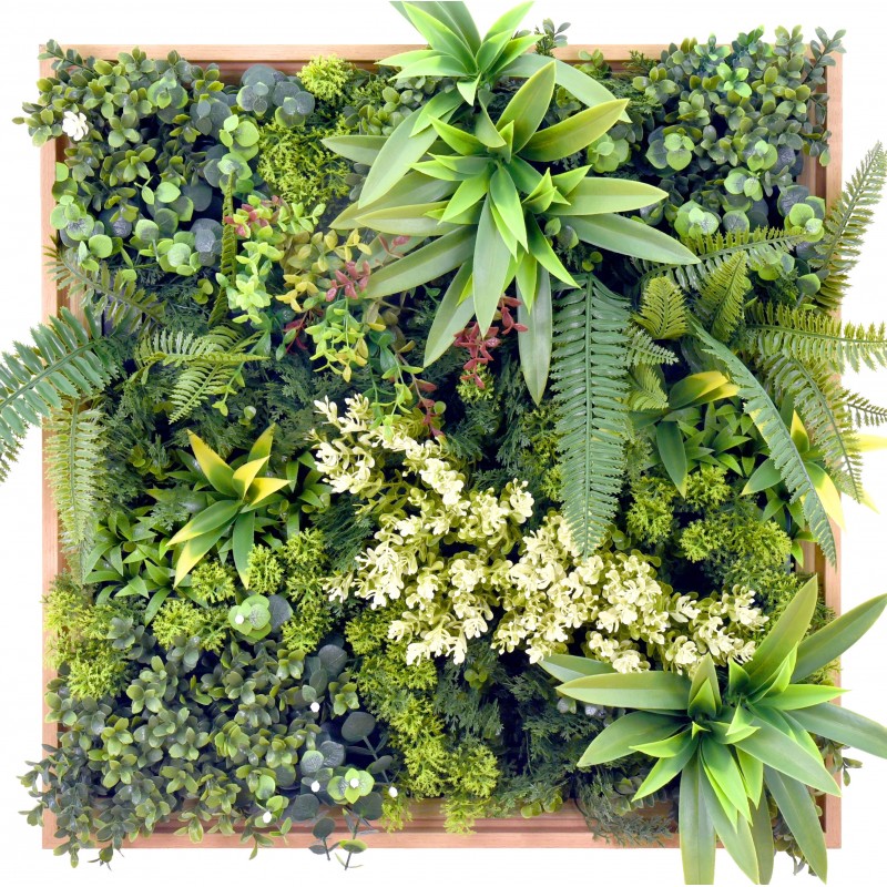 RheaB Wooden Frame EGK004BV004 50*50cm EdenGreen Vertical Green Wall Artificial Hedge Tile RheaB Wooden Frame EGK004BV004 50*50cm EdenGreen Vertical Green Wall Artificial Hedge Tile