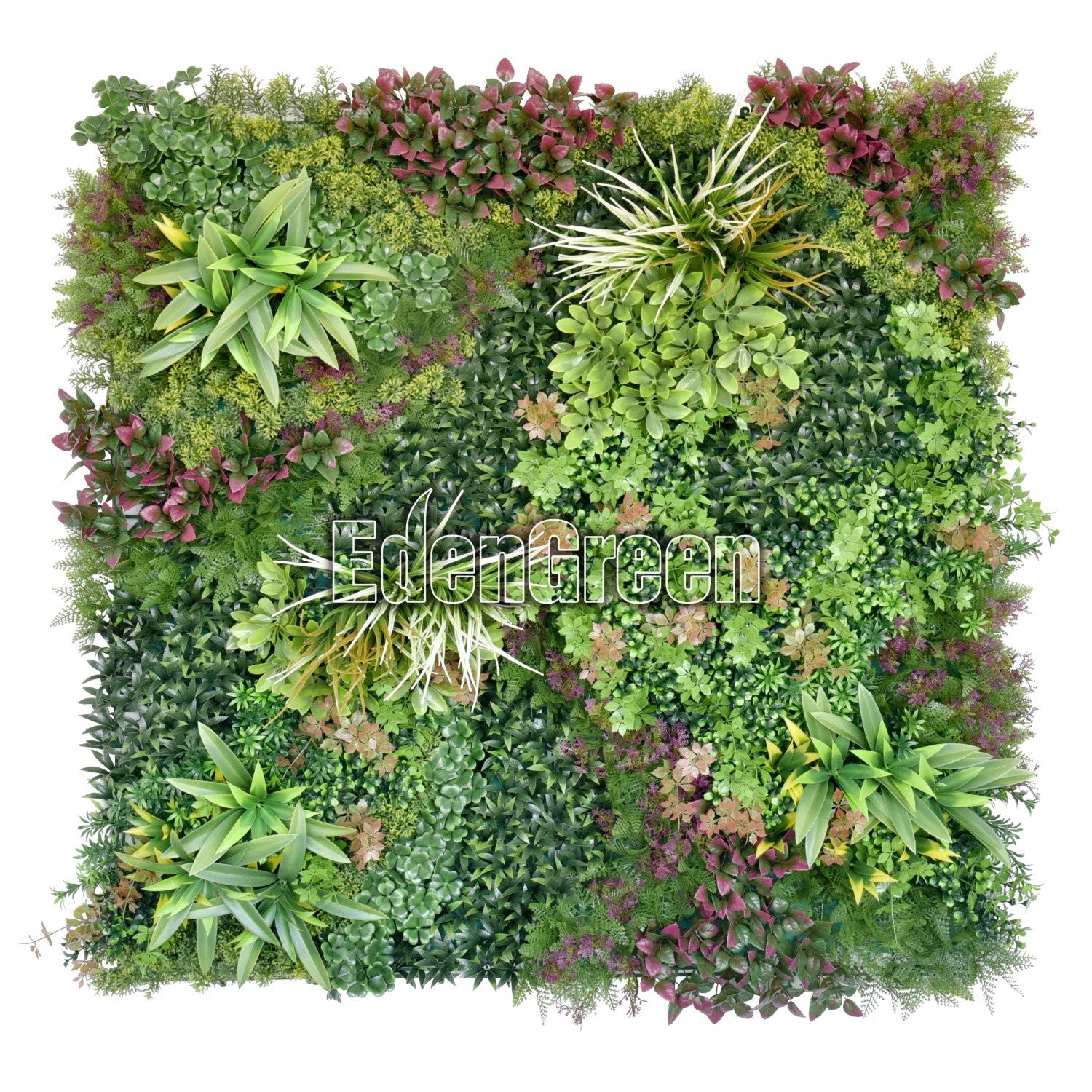 Late Spring EGF032 100*100cm EdenGreen Vertical Green Wall Artificial Hedge Tile