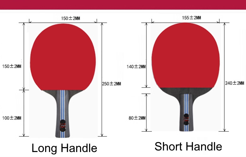 5-Star Professional Training Table Tennis Rackets set